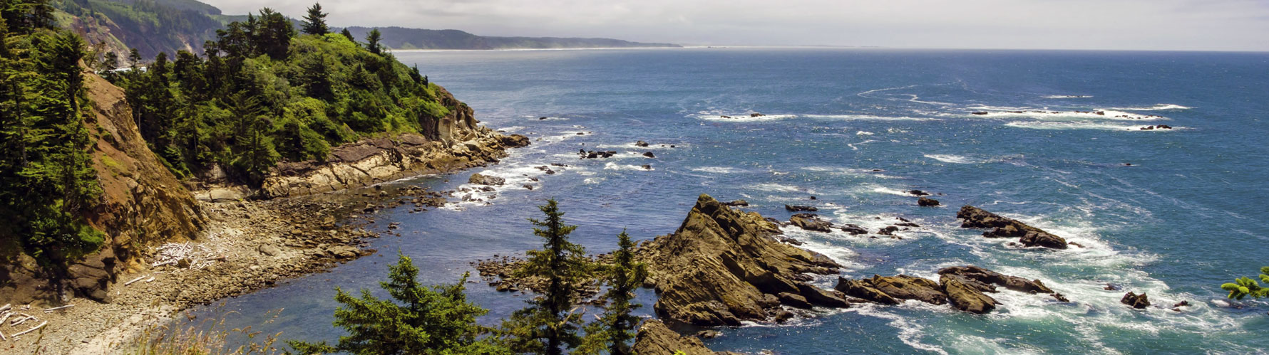 Picture of the Oregon coast